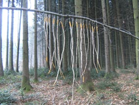Klangbogen